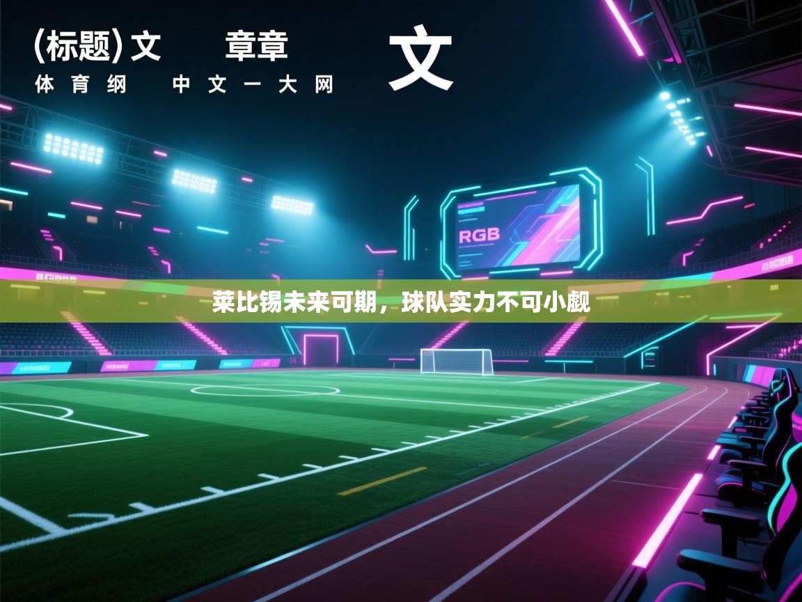 莱比锡未来可期，球队实力不可小觑  第2张