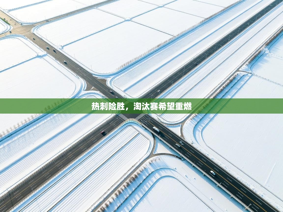 热刺险胜，淘汰赛希望重燃  第2张