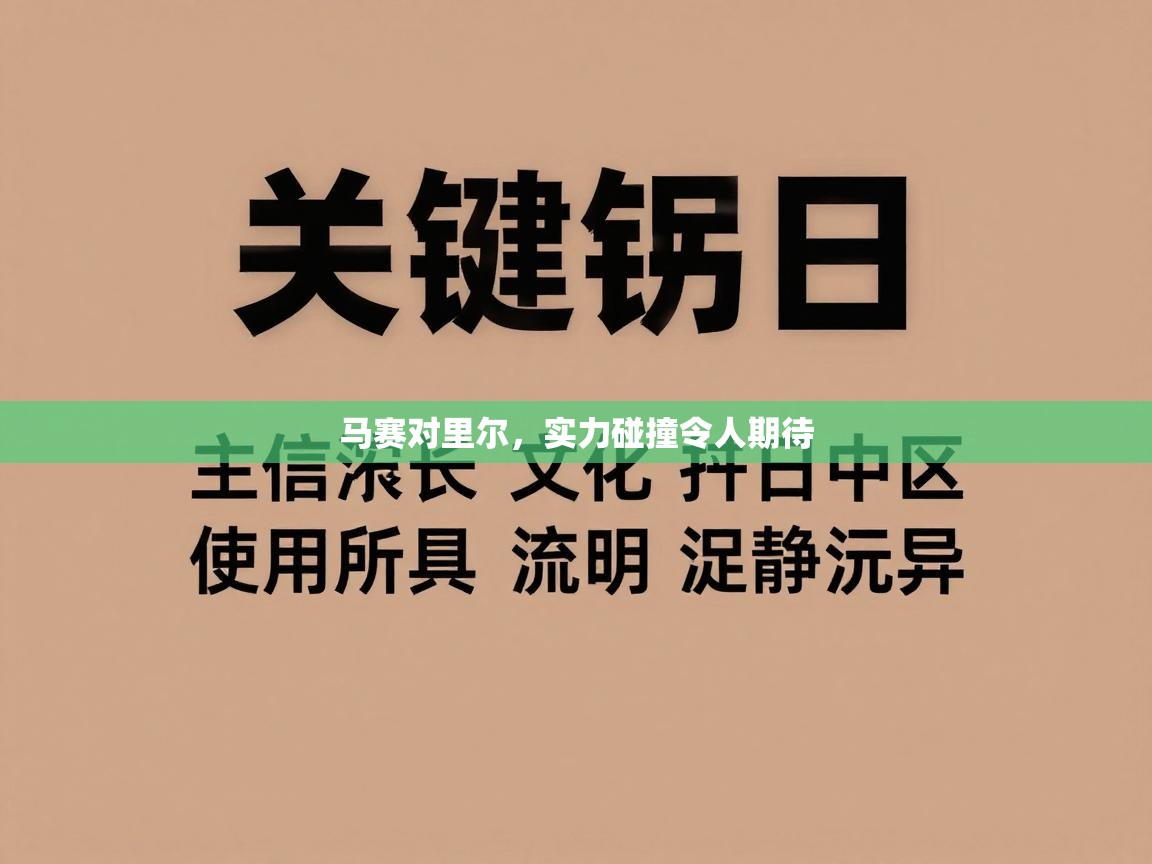 马赛对里尔,实力碰撞令人期待 第2张