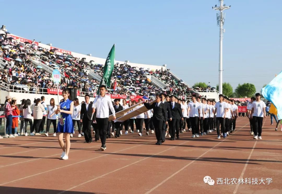 世俱杯官网-关于青年足球骄子对抗，青春风华无限魅力的信息